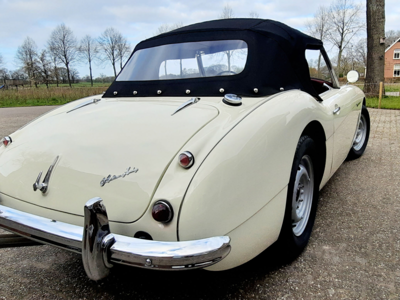 Austin_Healey_1